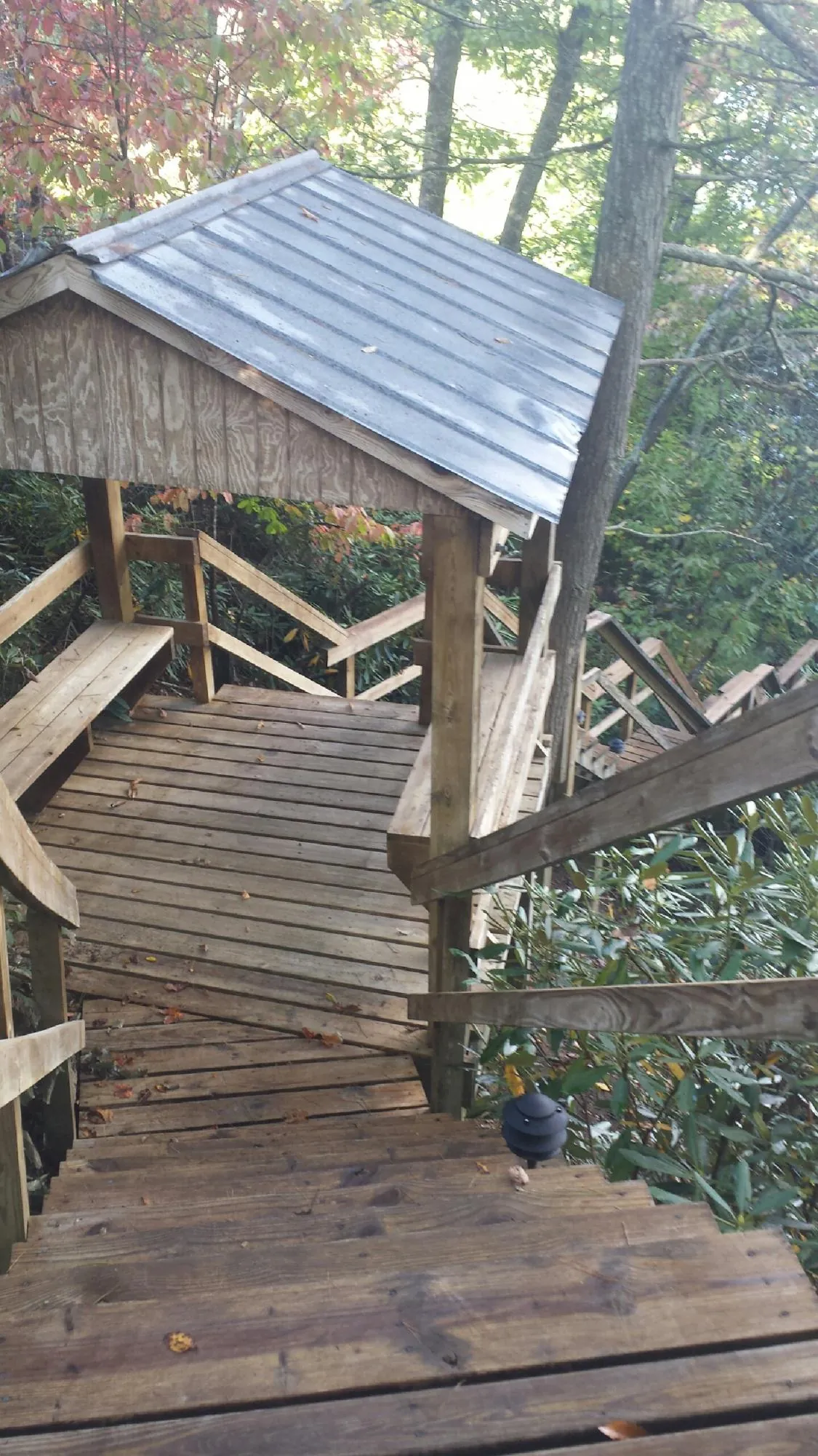 Metal roofed shelter over wooden steps on a wooded walkway — Skylight Repair & Installation work by our crew in Westland