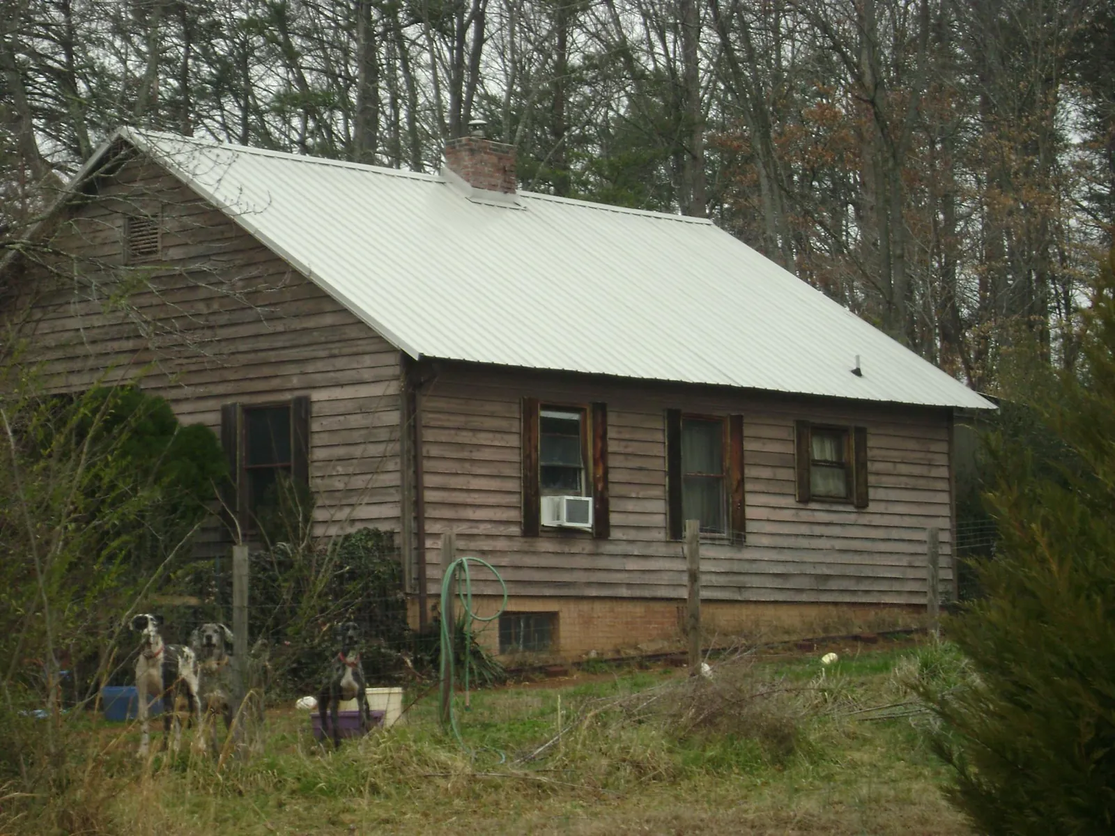 White metal roof on an old wood sided farmhouse, from a Asphalt Shingle Roof Repair job in Westland
